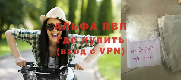 альфа пвп Новодвинск