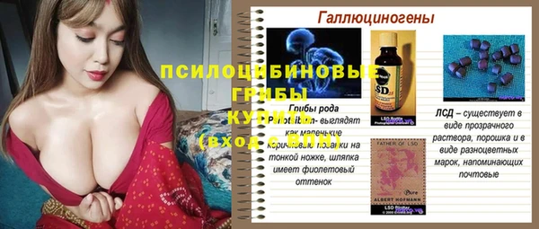 альфа пвп Новодвинск