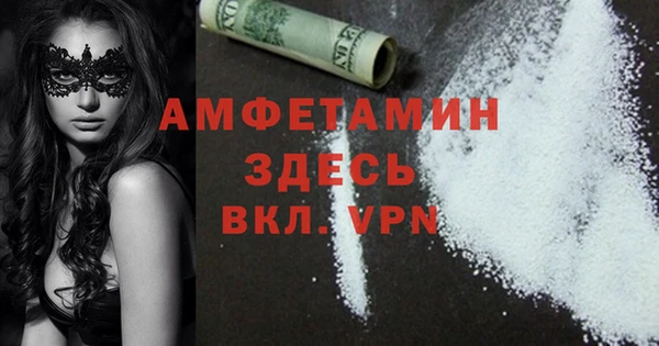 альфа пвп Новодвинск