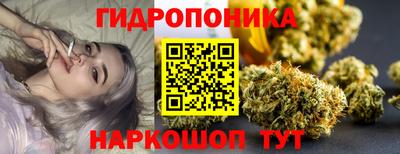 мдпв Дубна