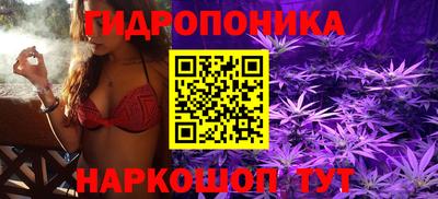 мдпв Дубна