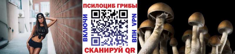Галлюциногенные грибы GOLDEN TEACHER  где продают наркотики  Нижневартовск 